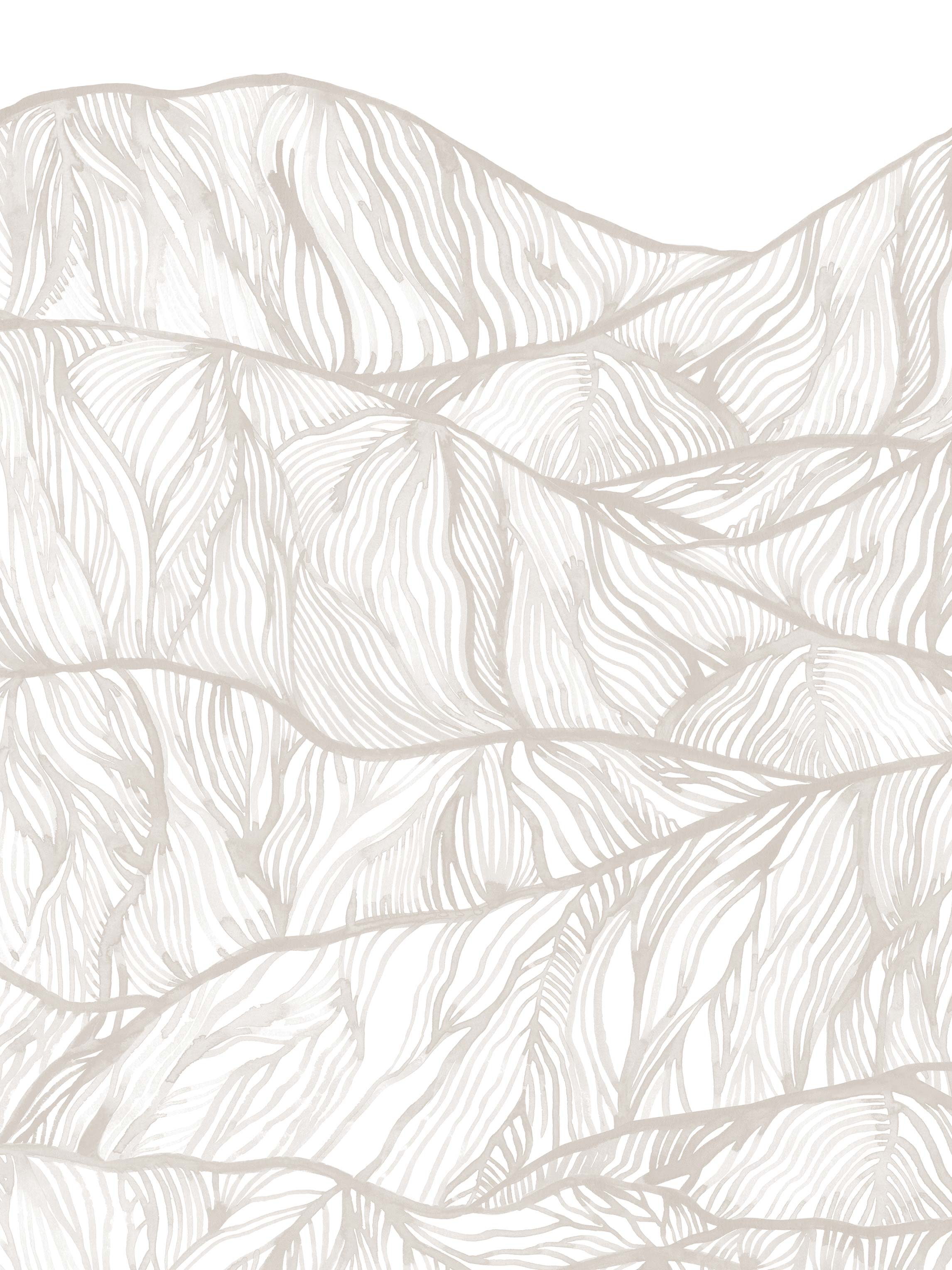 9463w_Mountain_Closeup.jpg