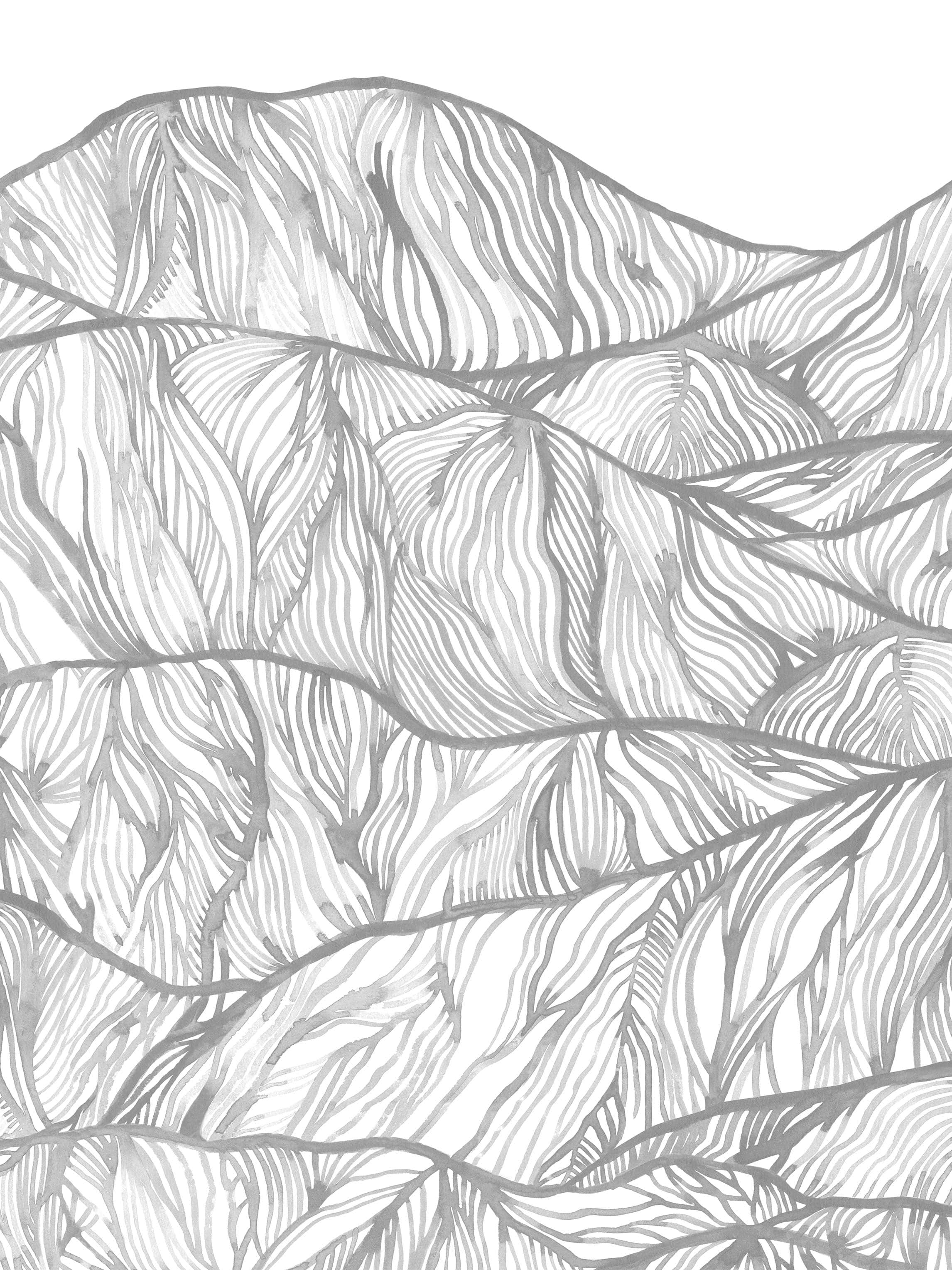 9464w_Mountain_Closeup.jpg