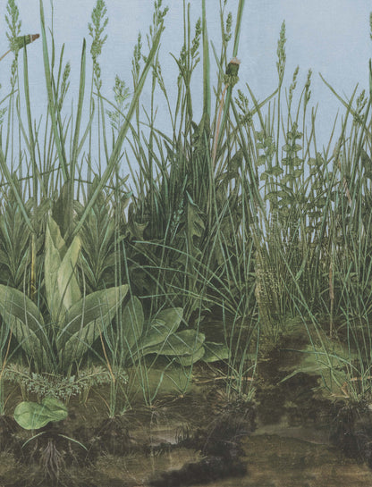 9473w_MorningMist_Closeup.jpg