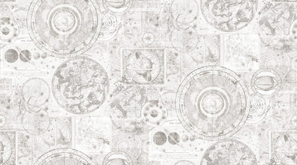 9549W_VintageStarMap_PatternImage.jpg