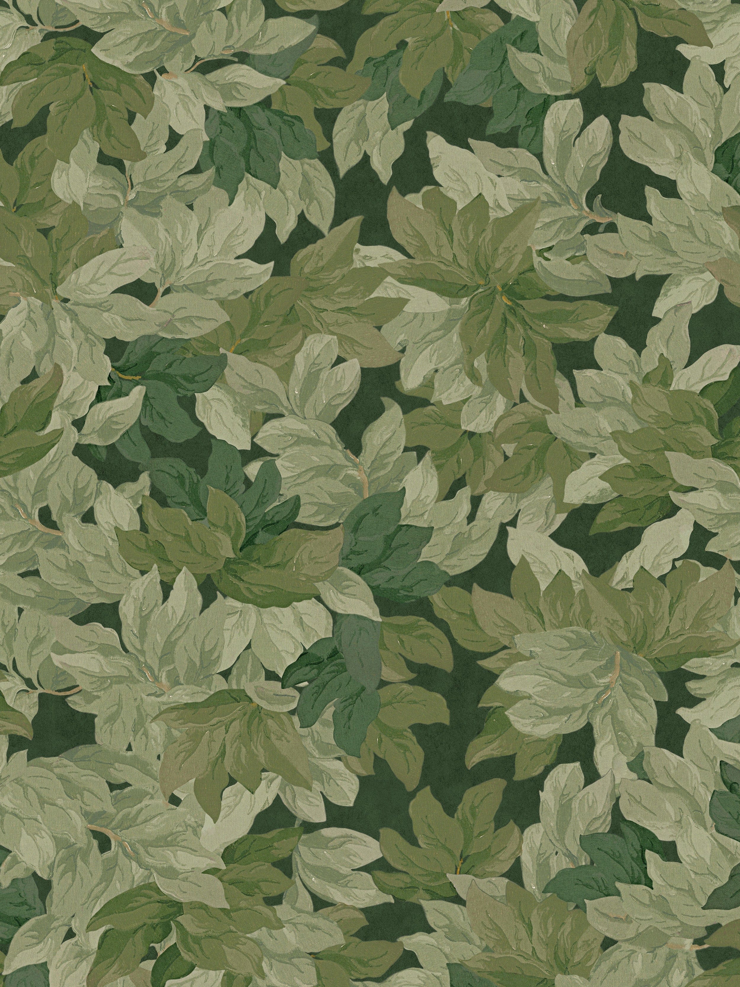 9554W_TreeCanopy_Closeup.jpg