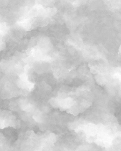 9558W_Sky_CroppedImage.jpg