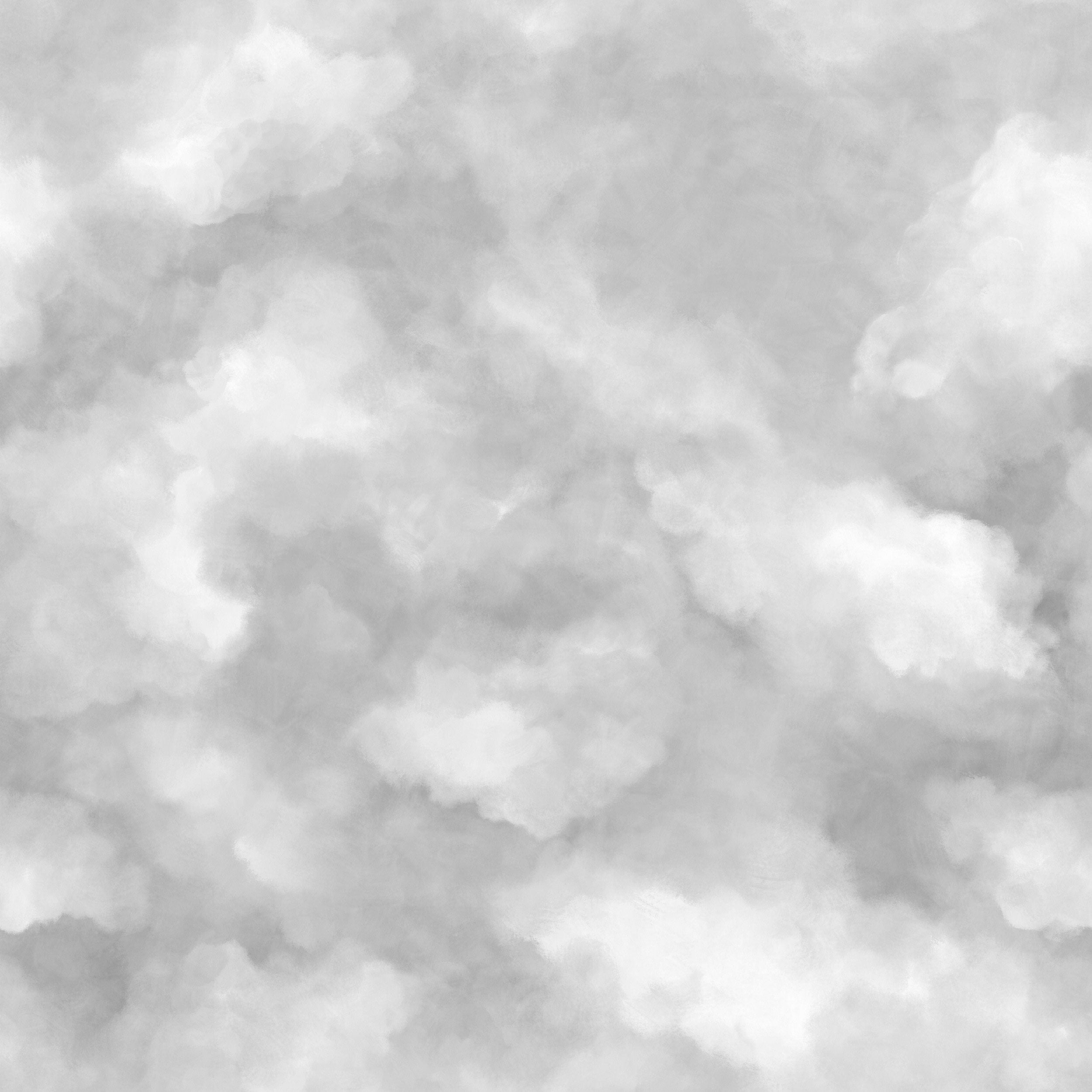 9558W_Sky_PatternImage.jpg