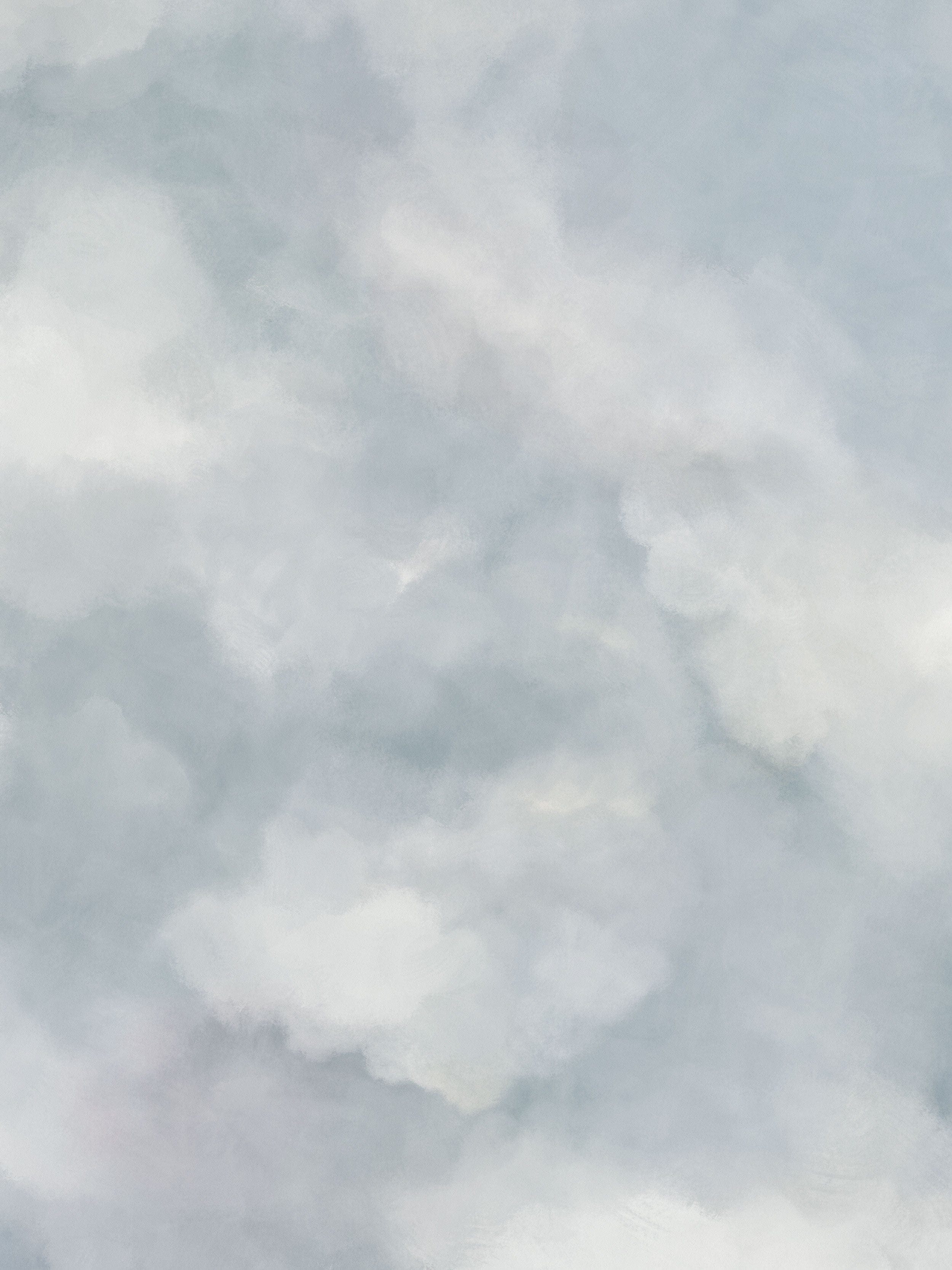 9559W_Sky_Closeup.jpg