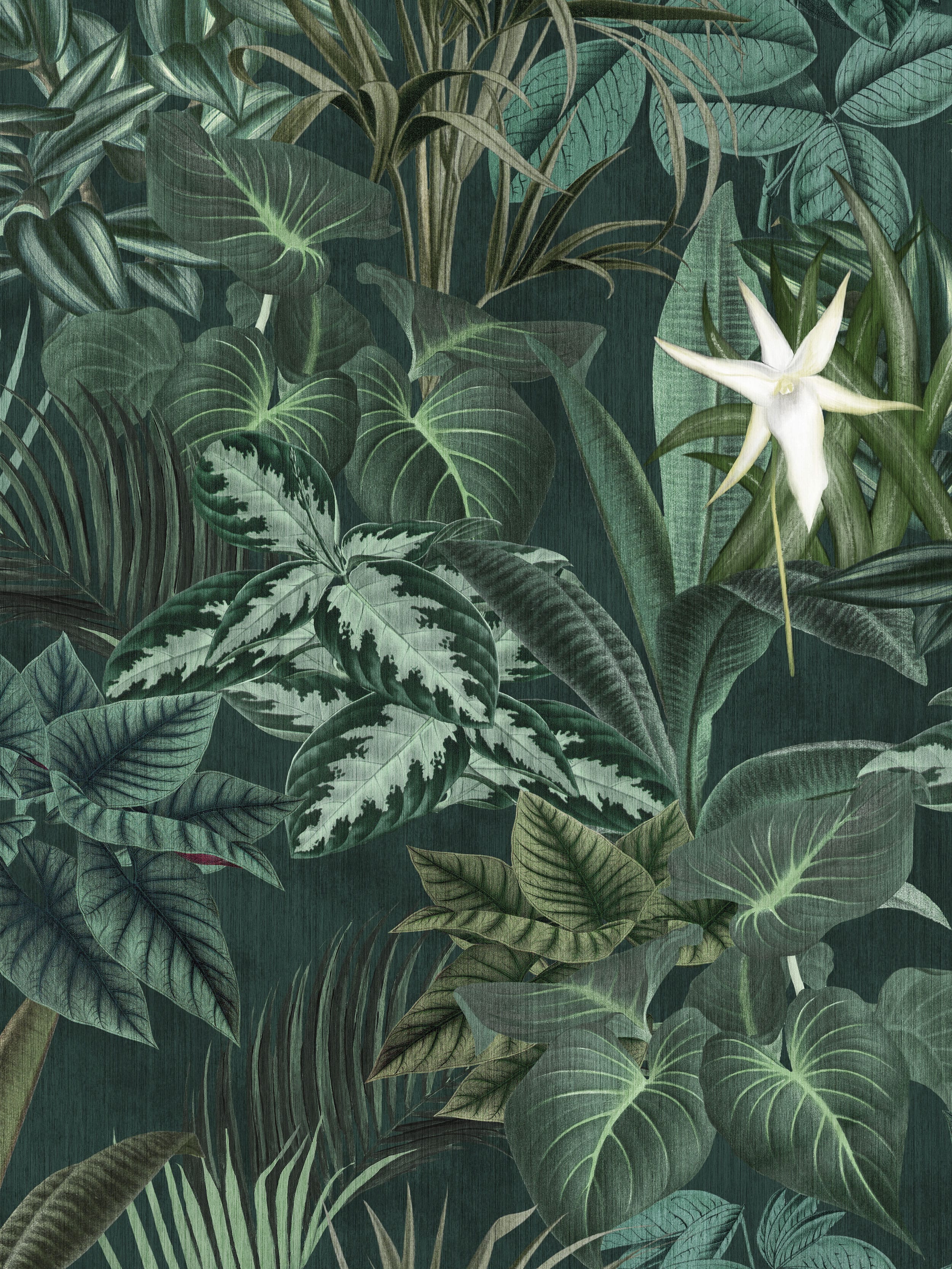 9571W_MadagascarLeaves_Closeup.jpg