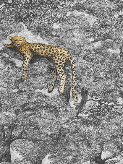9572W_Samburu_Closeup.jpg