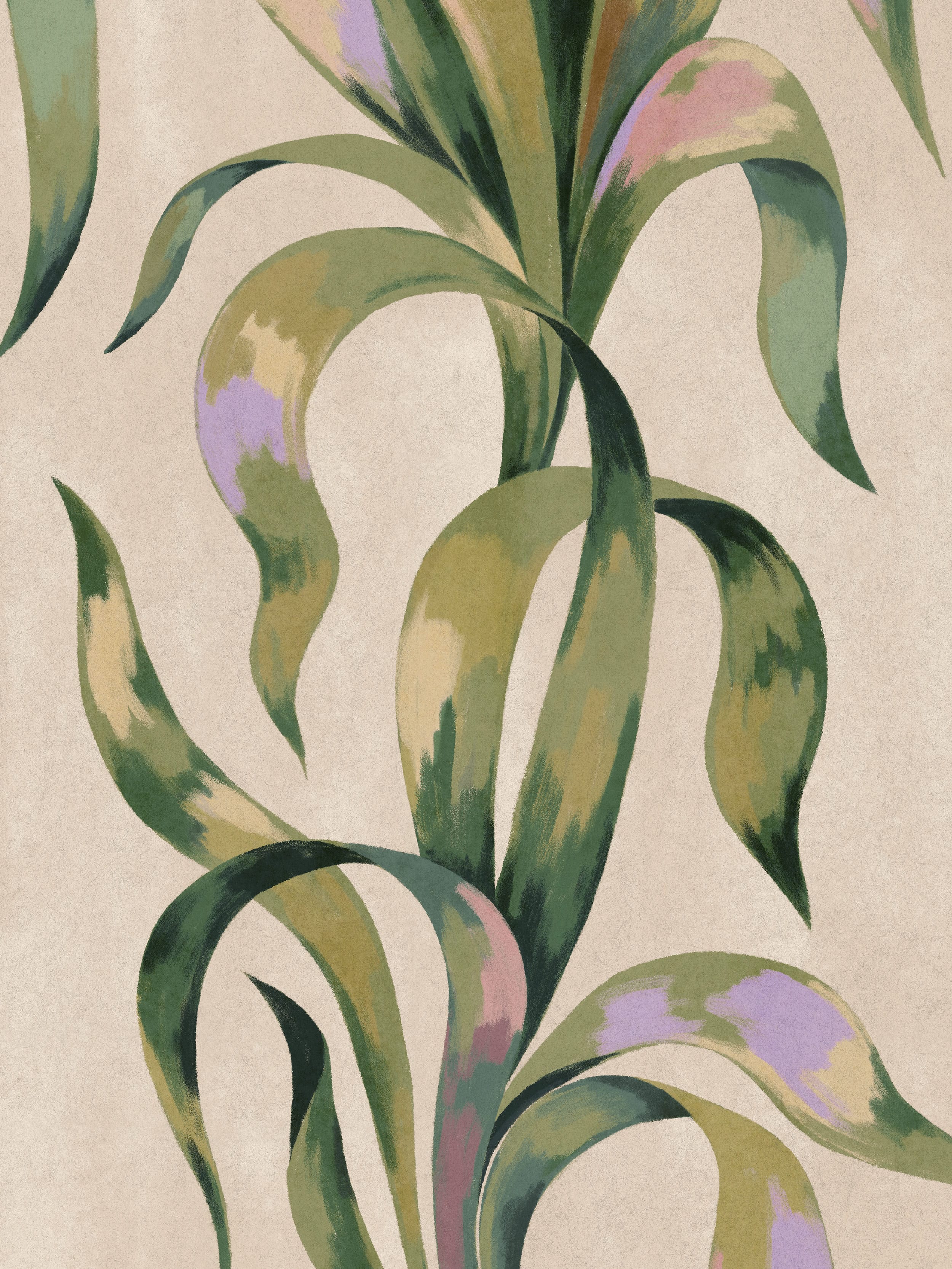 9606W_Agave_Closeup.jpg