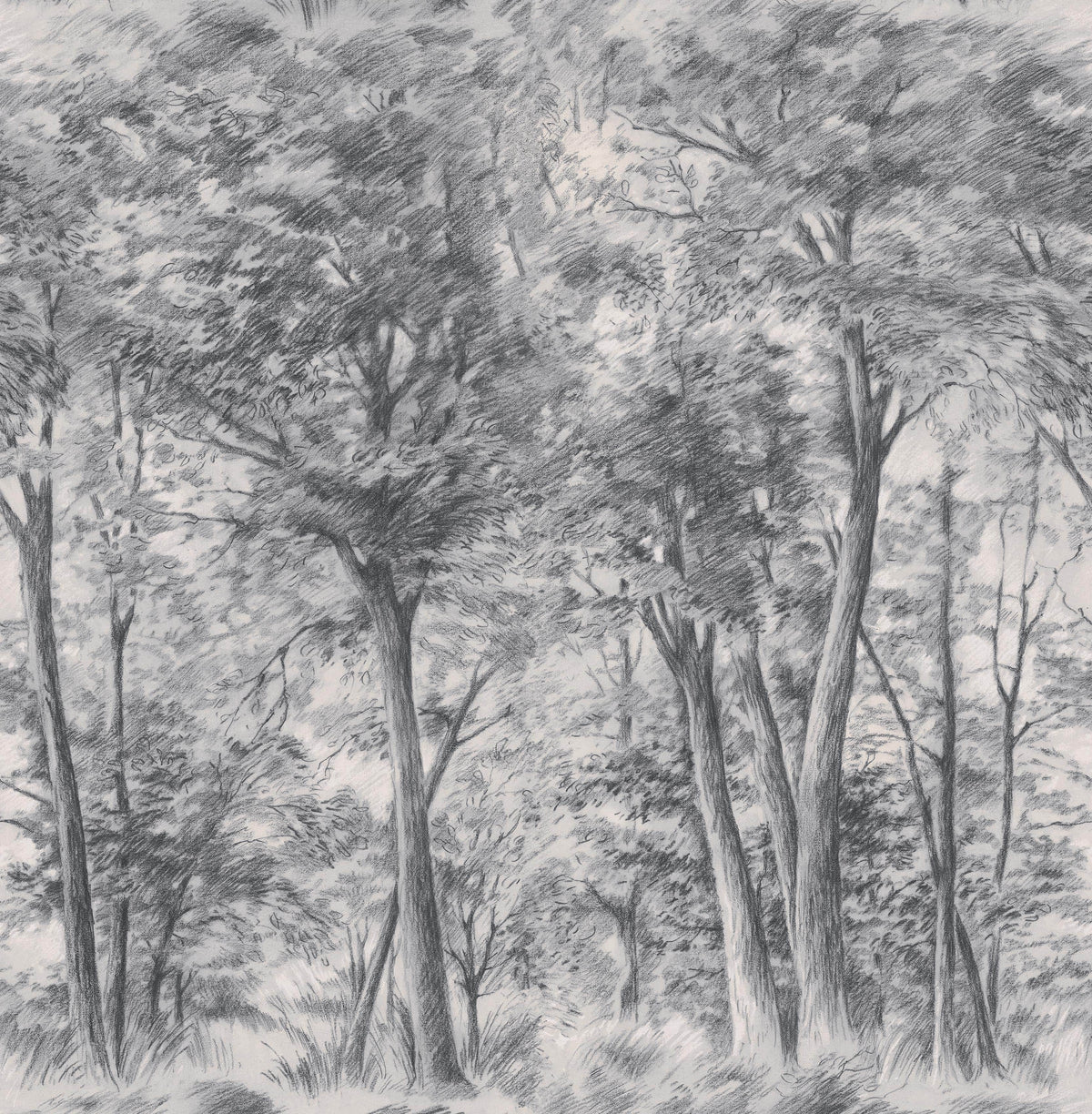 Sketch of Trees, Grey wallpaper – Boråstapeter