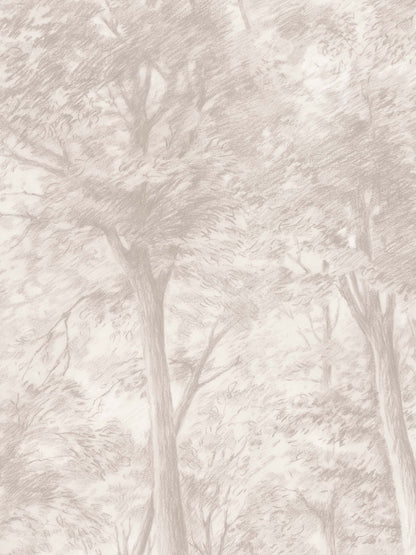 9631w_SketchofTrees_Closeup.jpg