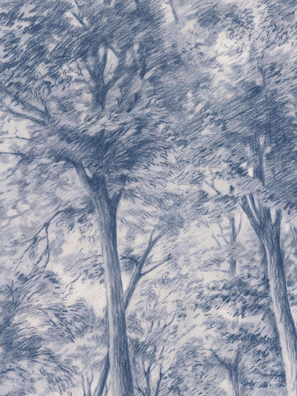 9633w_SketchofTrees_Closeup.jpg