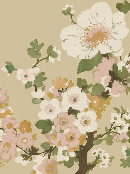 9653w_AppleBlossom_Closeup.jpg