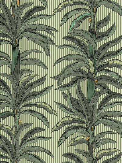 swatch image for Rayure Palmier