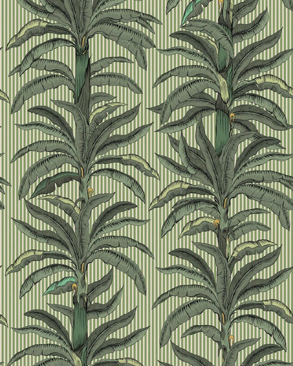 9711W_PalmierStripe_CroppedImage.jpg