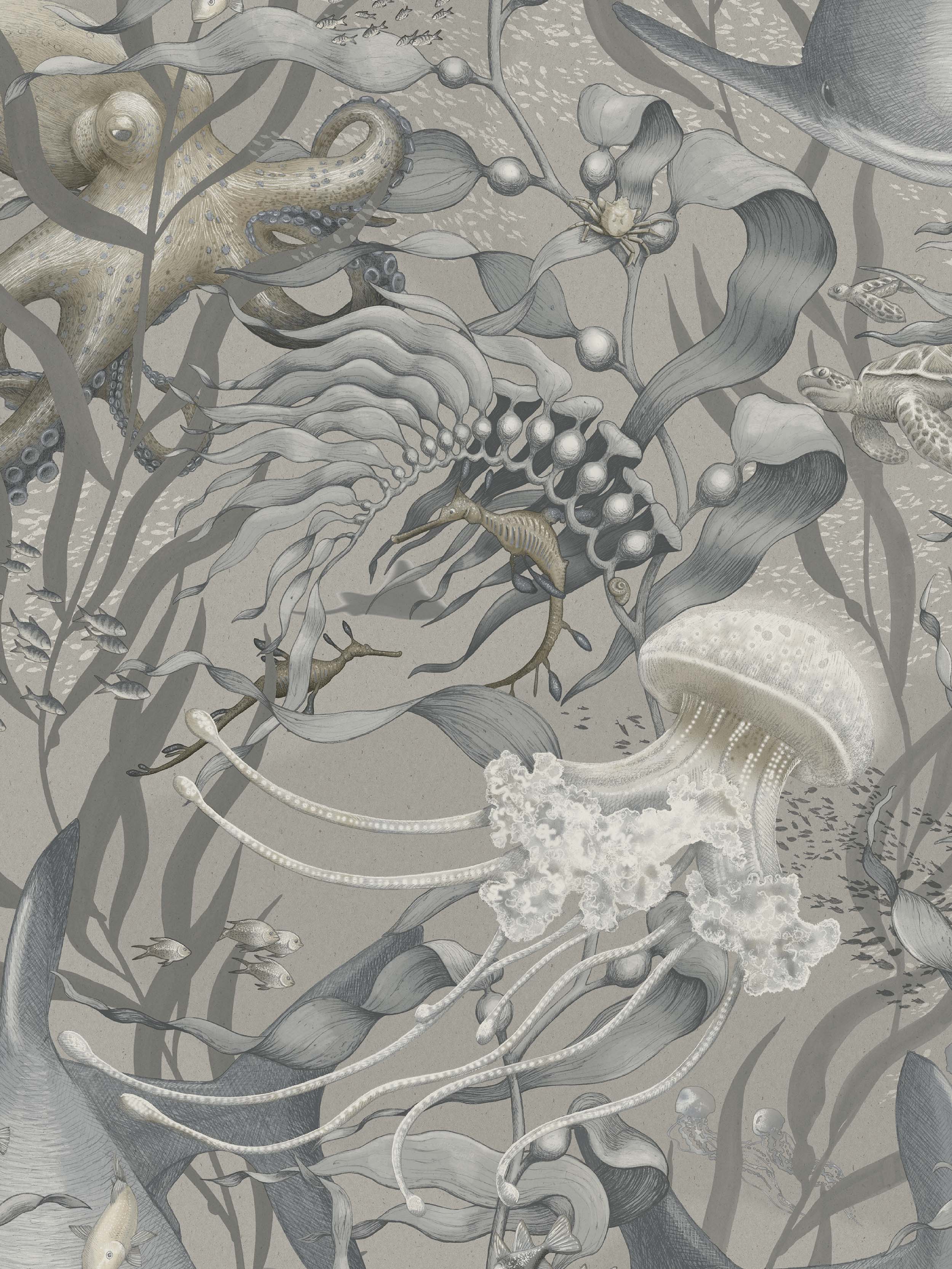 9768W_UnderwaterMagic_Closeup.jpg