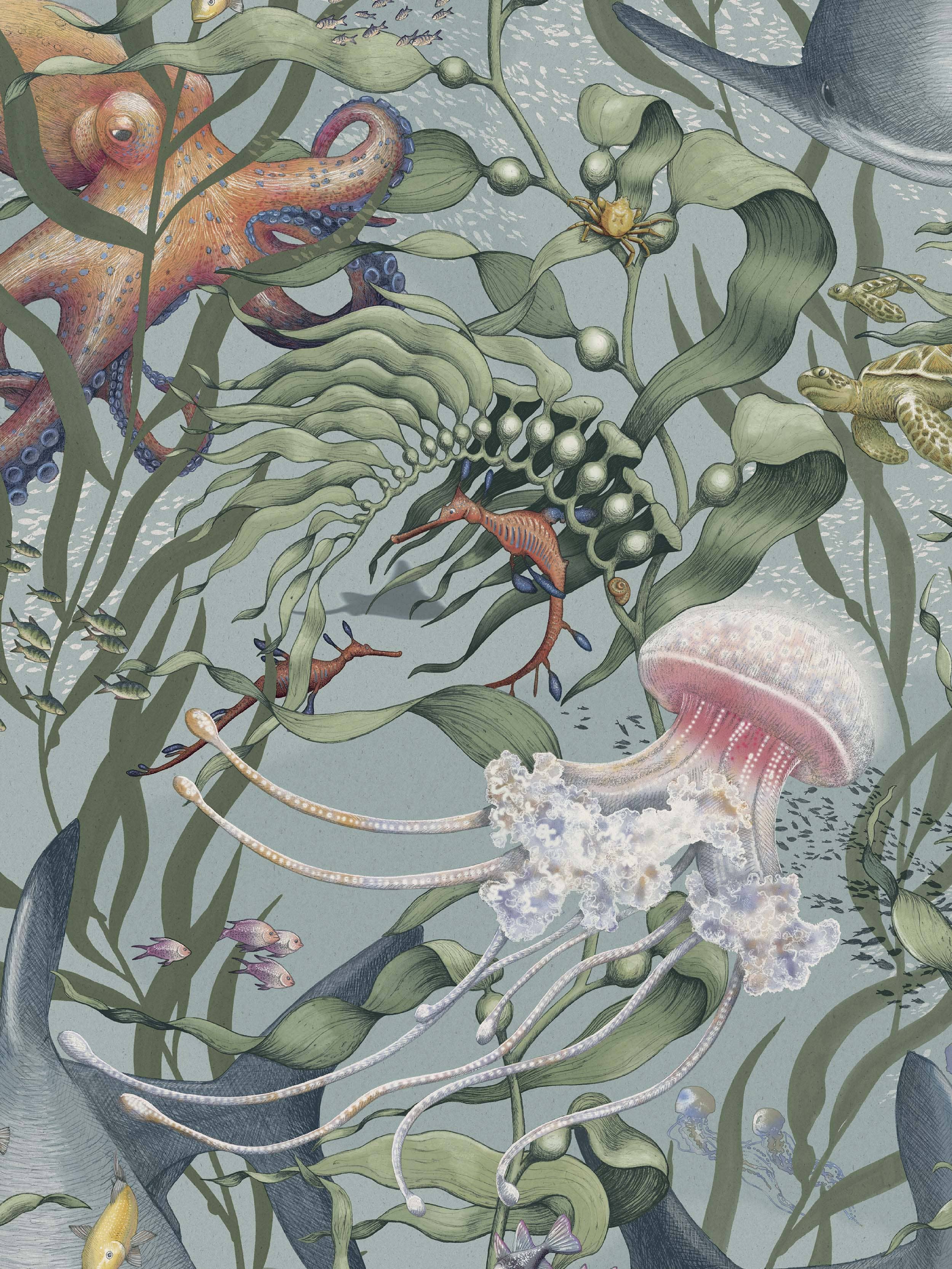 9769W_UnderwaterMagic_Closeup.jpg