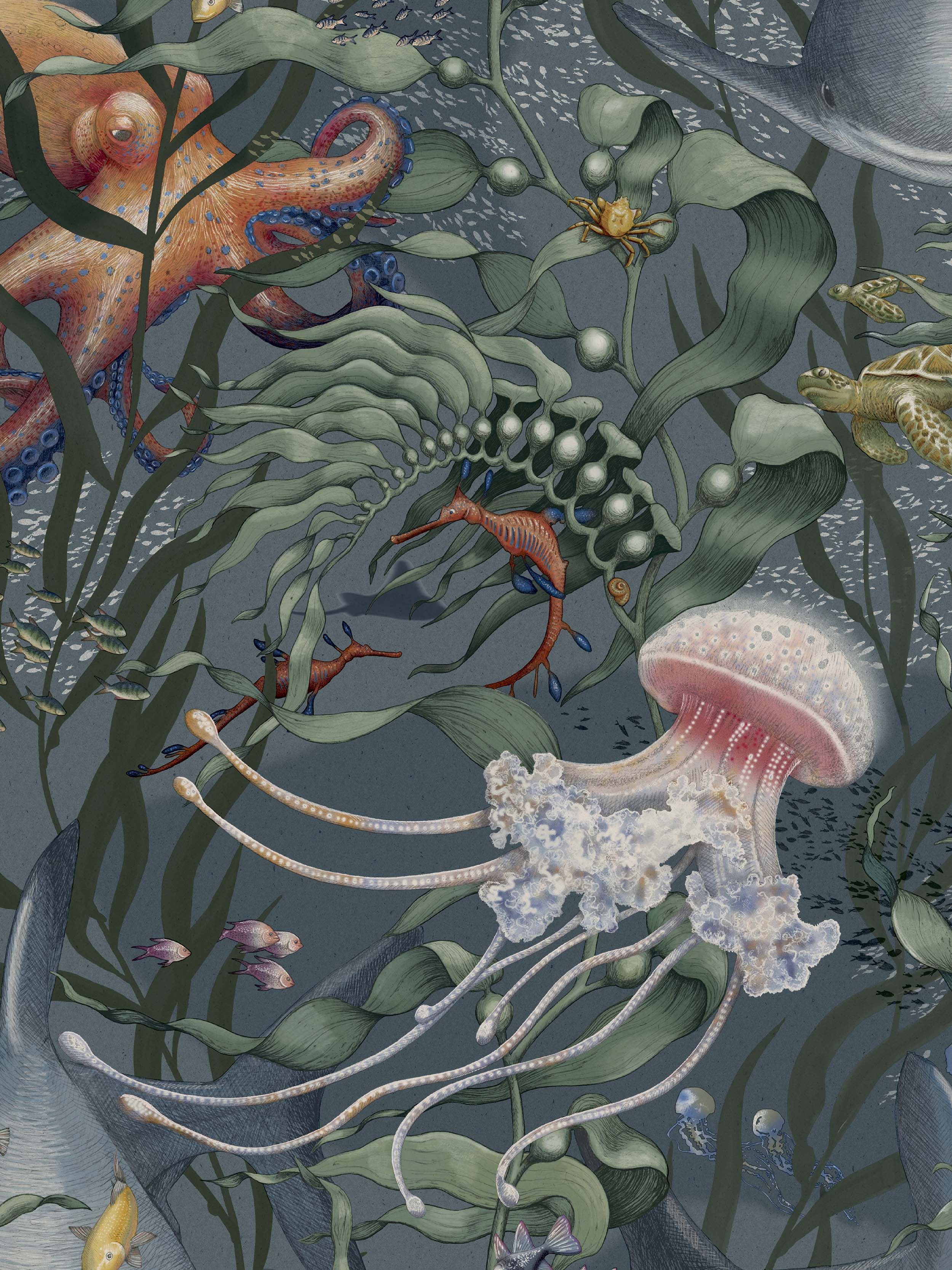 9770W_UnderwaterMagic_Closeup.jpg