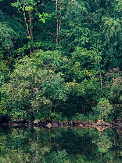 swatch image for Marie Mattsson Sommarreflektion