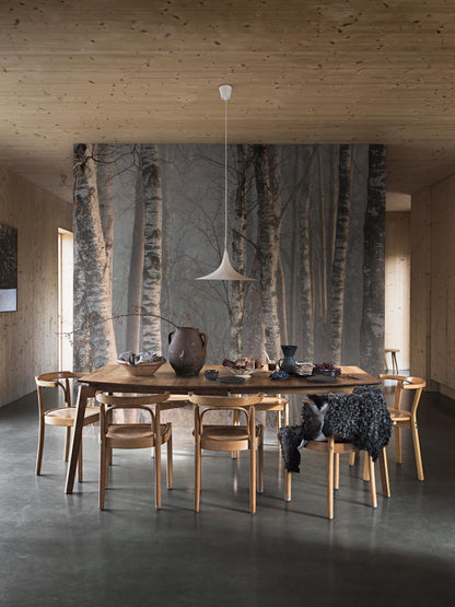 9777W_MarieM_Bjorkdimma_Roomshot_2.jpg