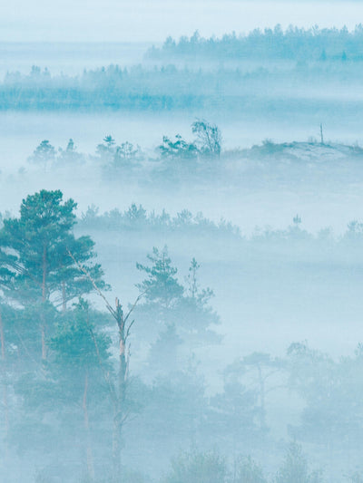 swatch image for Marie Mattsson Dimhav