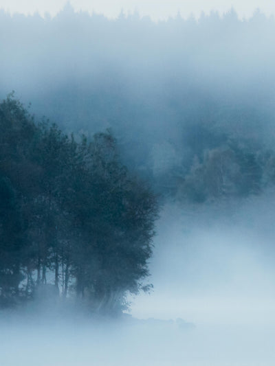 swatch image for Marie Mattsson Delsjön