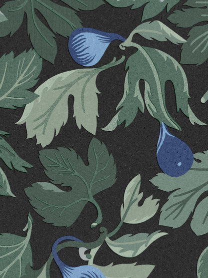 9829W_Figs_Closeup.jpg