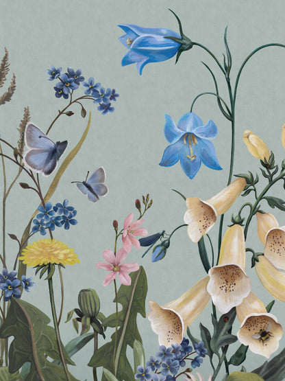 Bluebell Magic