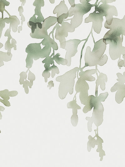 swatch image for Dawn Forest