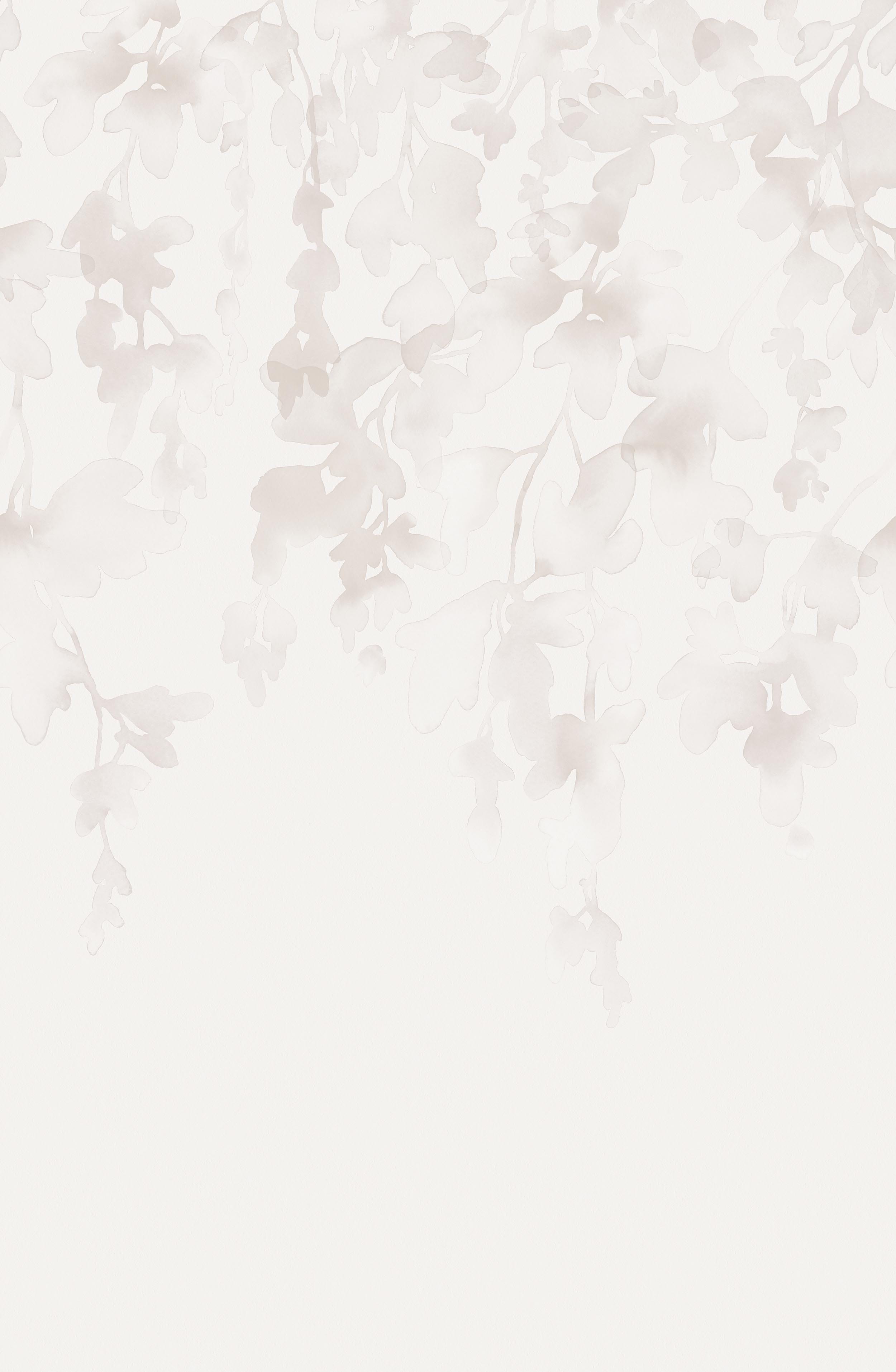 Dawn Forest