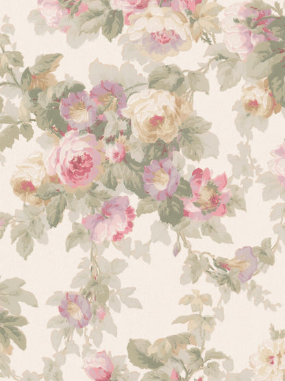 Sweet Dream Rose Grand