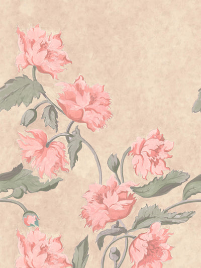 swatch image for Papaver