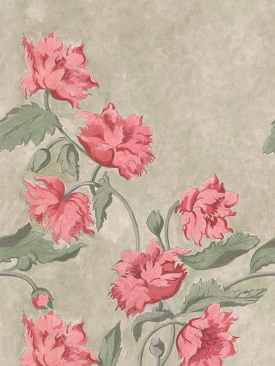 swatch image for Papaver