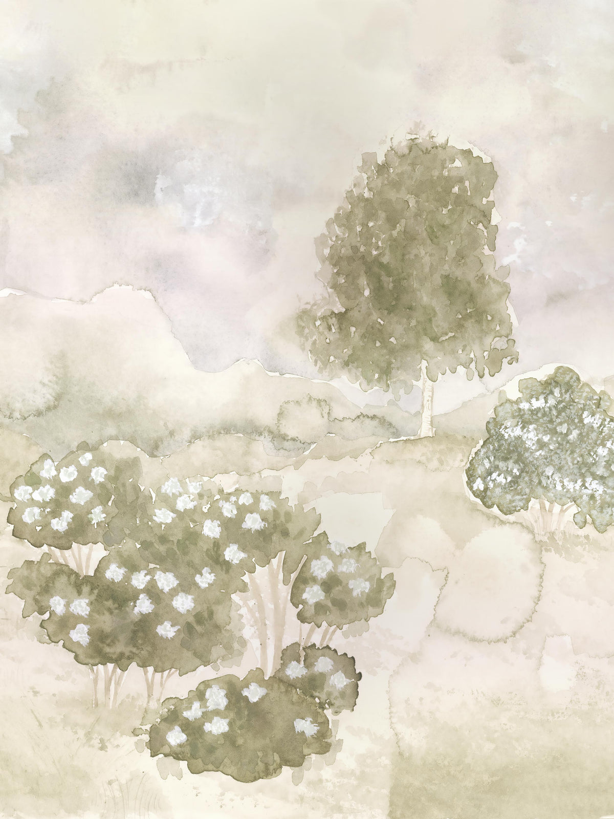 Swedish Landscape