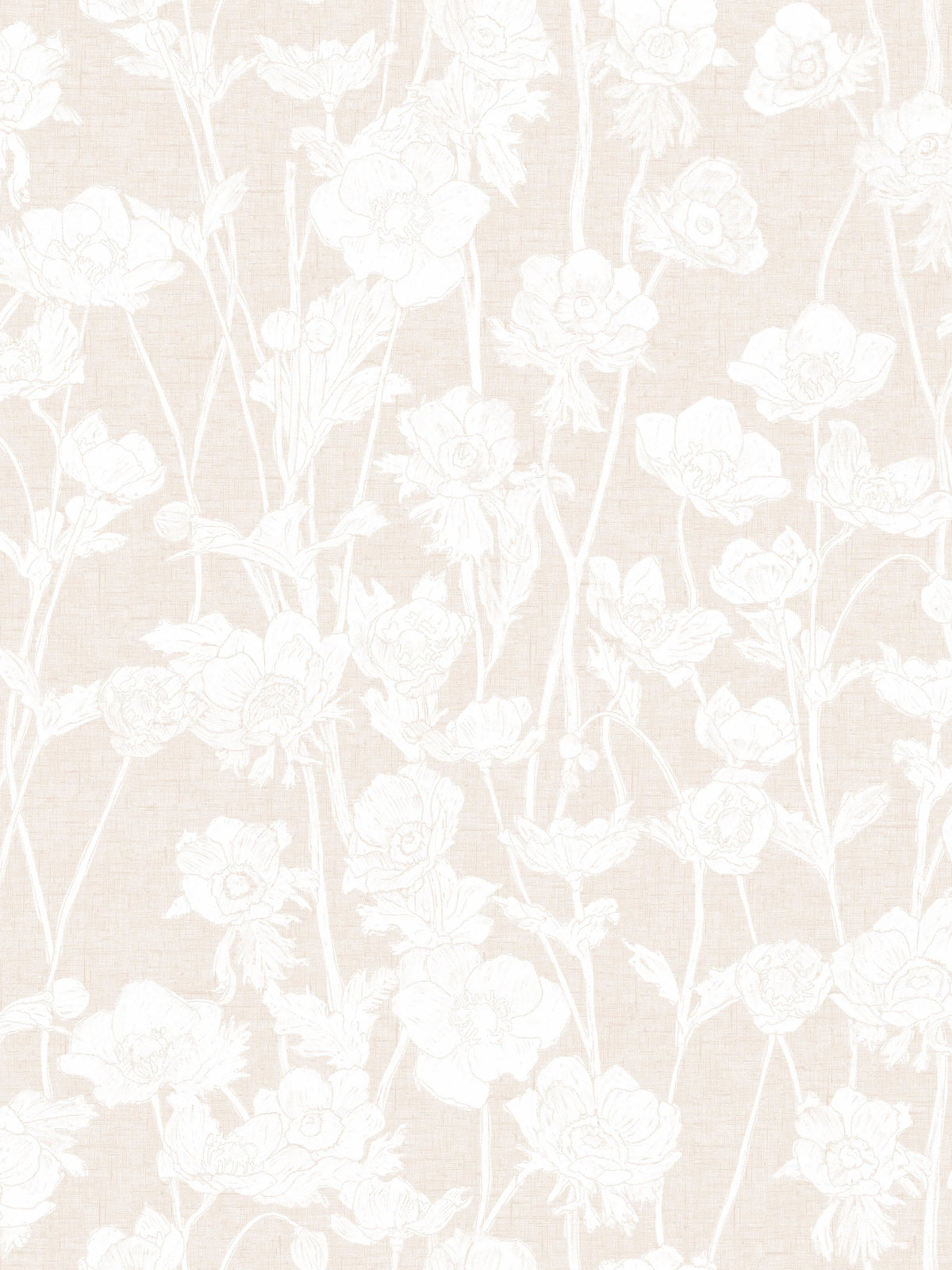 Japanese Anemones