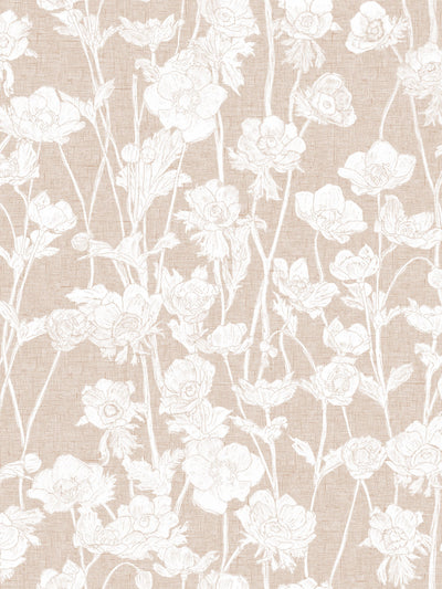 swatch image for Japanese Anemones