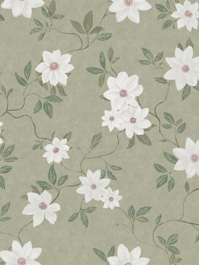 swatch image for Clematis Miss Bateman