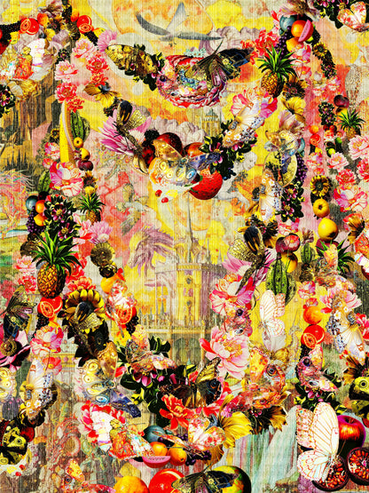 Kristian Falden World of Butterflies