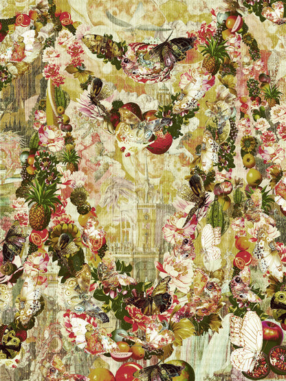 Kristian Falden World of Butterflies