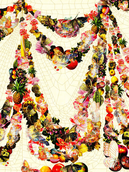Kristian Falden World of Butterflies Uncovered