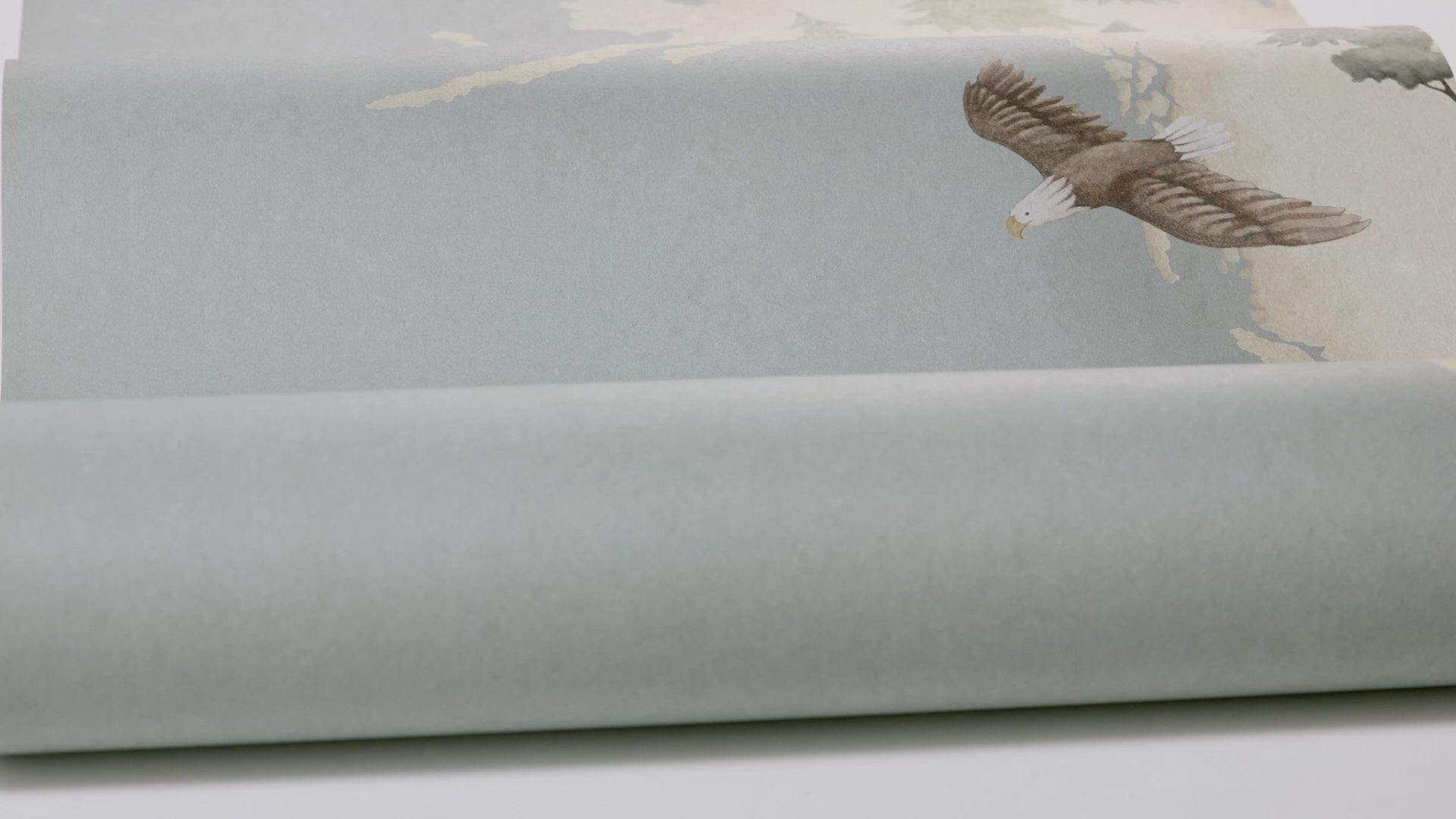 Little Explorer Mural