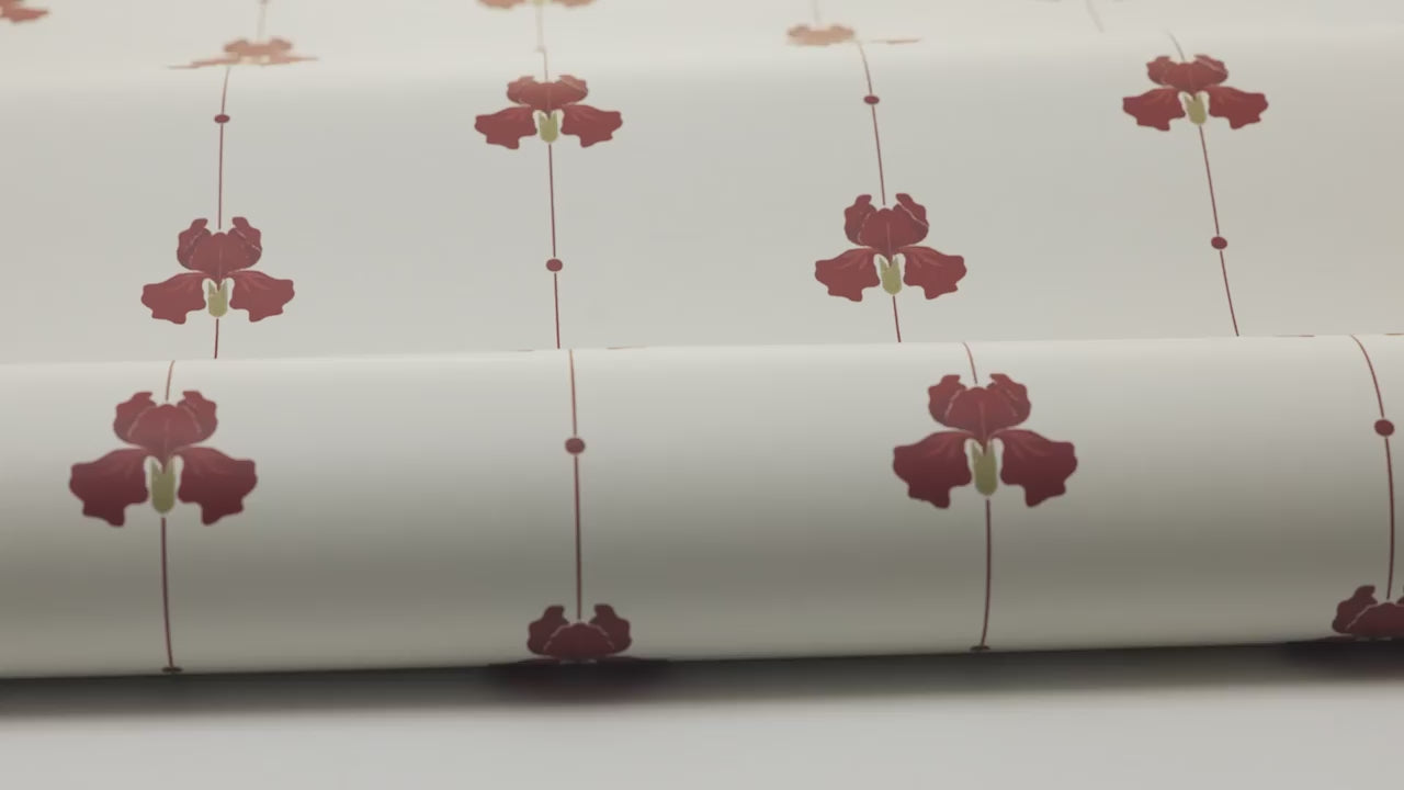 Gotain Sweet Pea Burgundy