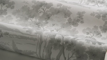 Countryside Morning