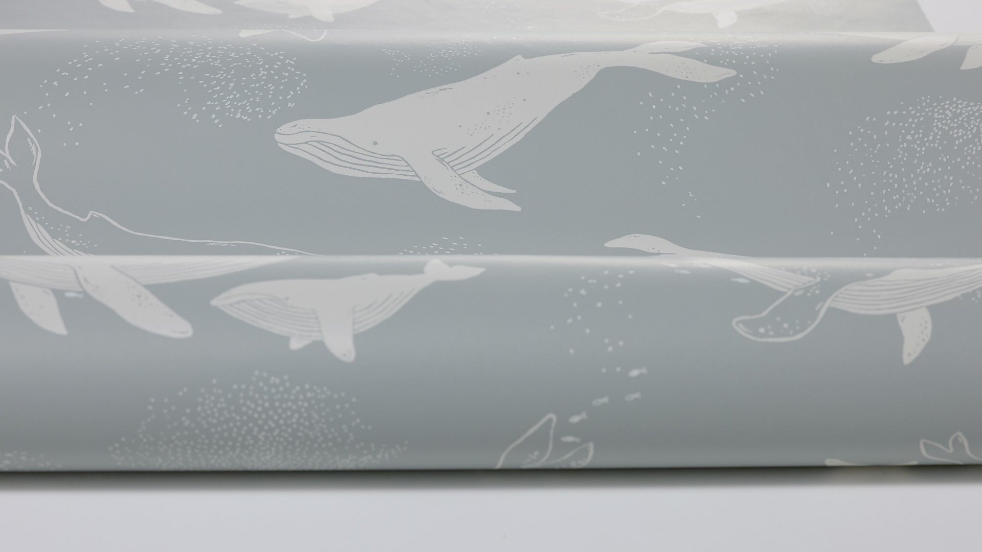 Whales