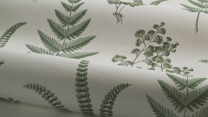 Herba