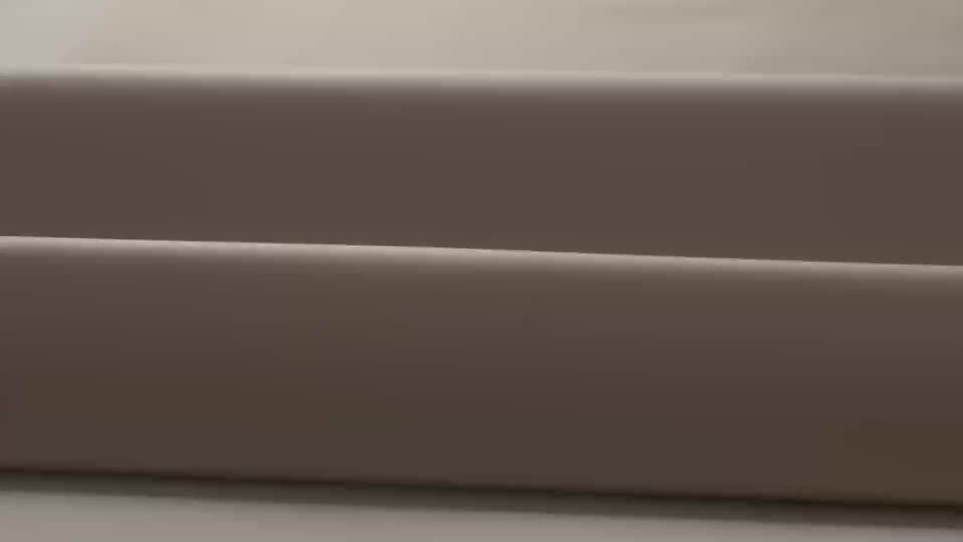 Chestnut Brown