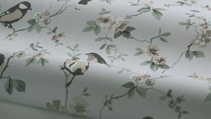 Falsterbo Birds