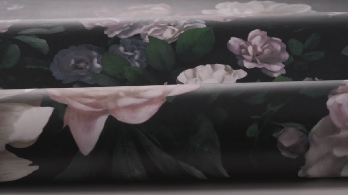 New Dawn Rose