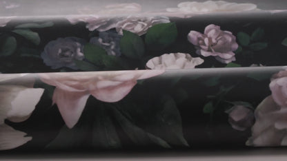 New Dawn Rose