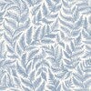 Ferns