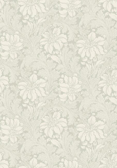 Acanthus