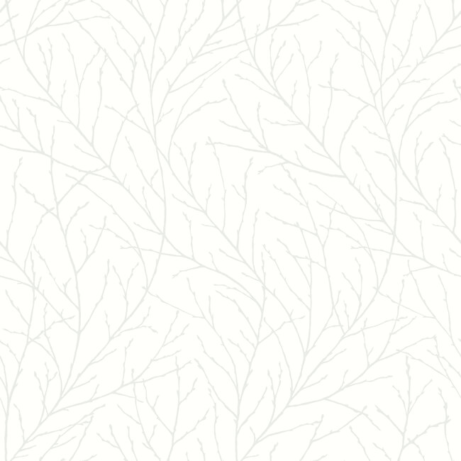 Branches